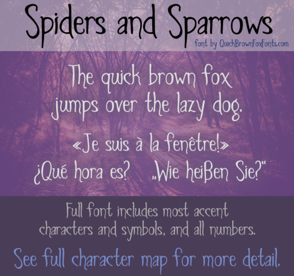 Exploring Spiders and Sparrows: A Font with Character