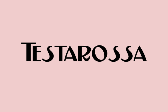 Testarossa: The Curvy Sans Serif for Modern Creatives